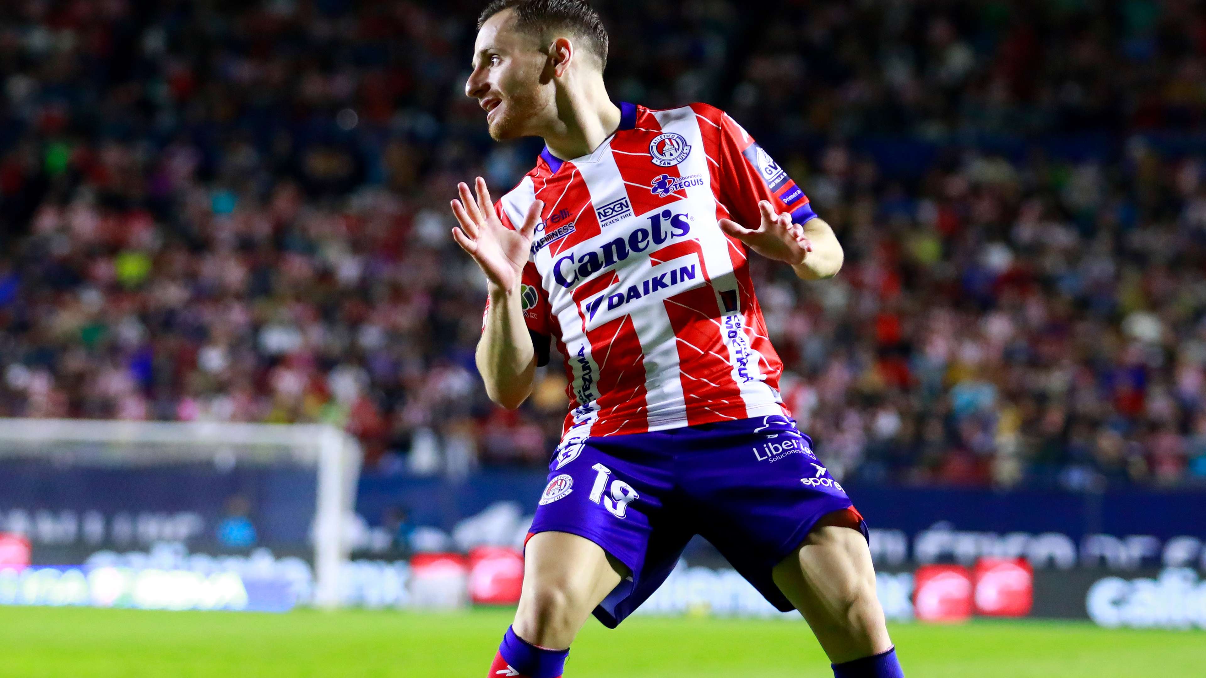 仅承载了地 仅承载了地