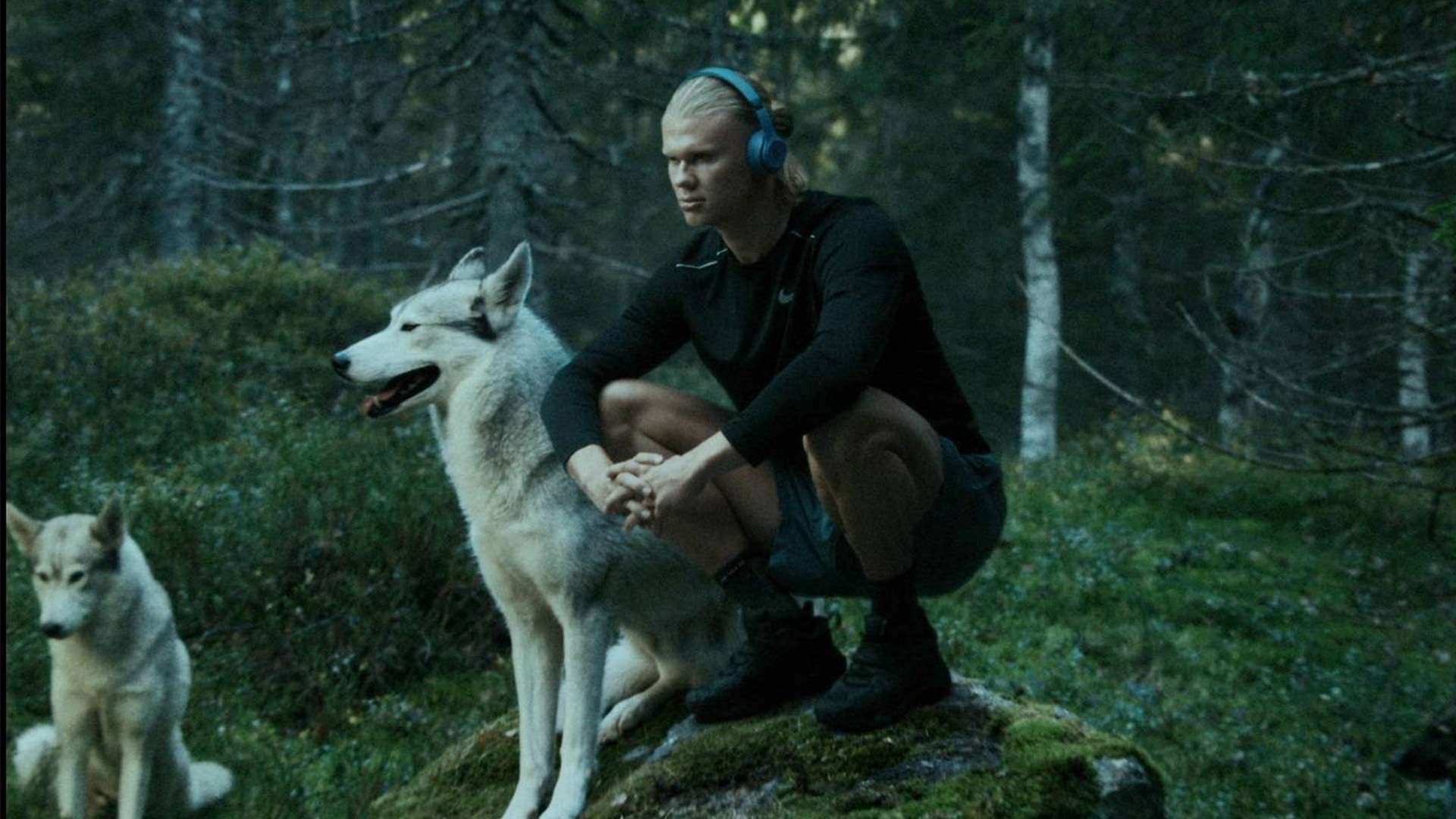 勒沃库森则 勒沃库森则