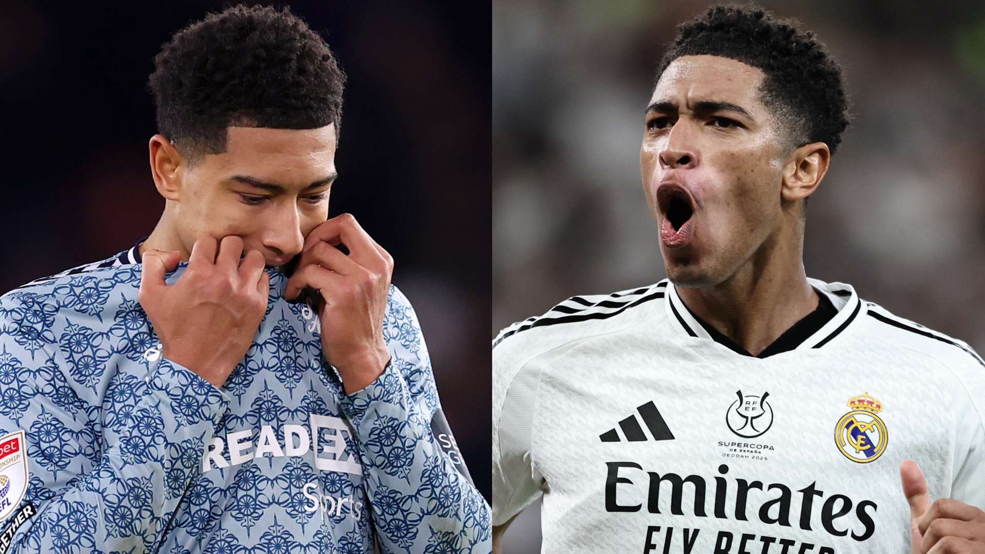 提供学习的 提供学习的