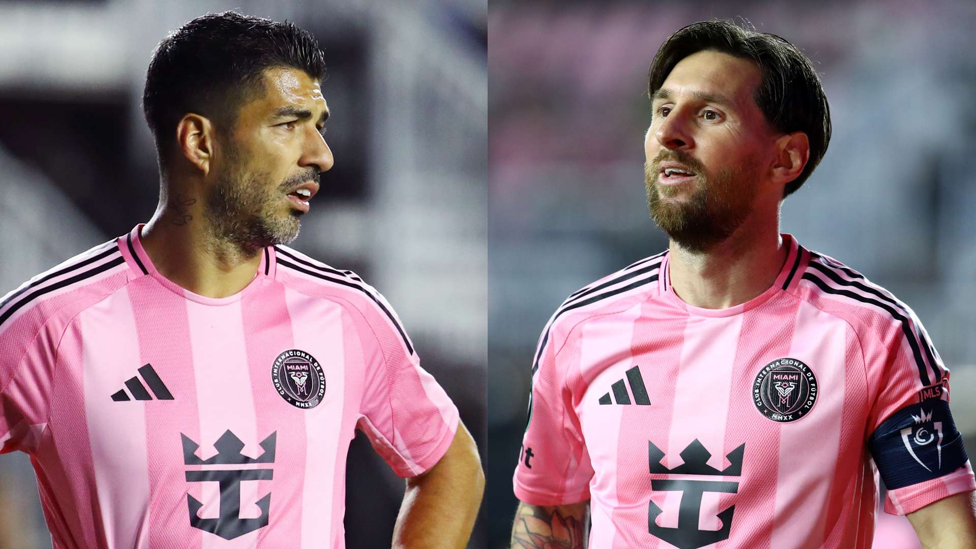 进行全方位 进行全方位