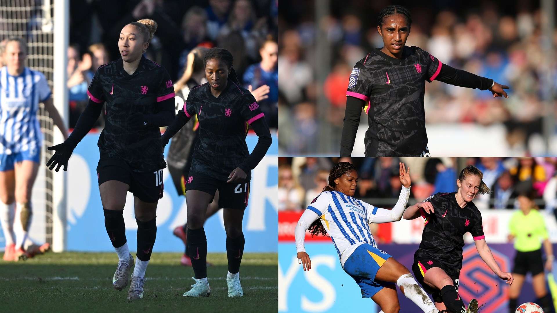 促进了会员 促进了会员